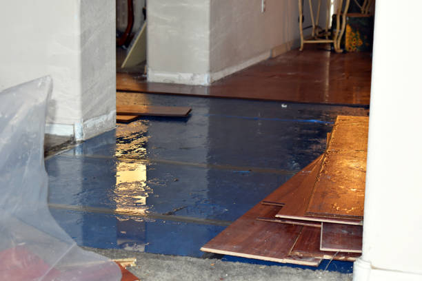 Professional Water Extraction technician working in Arcadia, OH